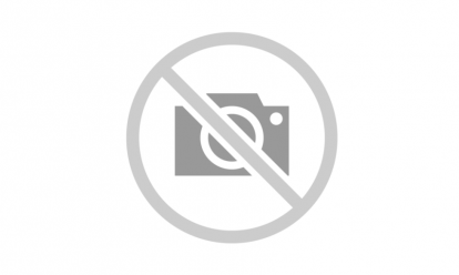 No Image Icon