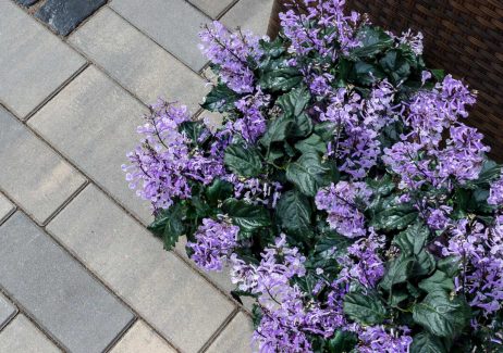 Unilock Artline Patio Pavers