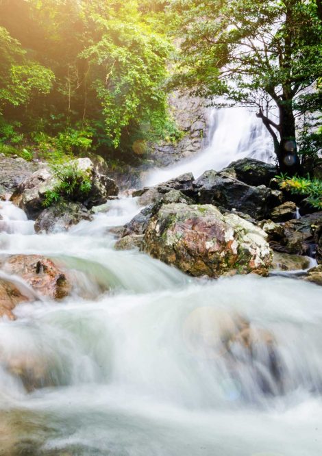 Natural Waterfall with Rocks and Greenery