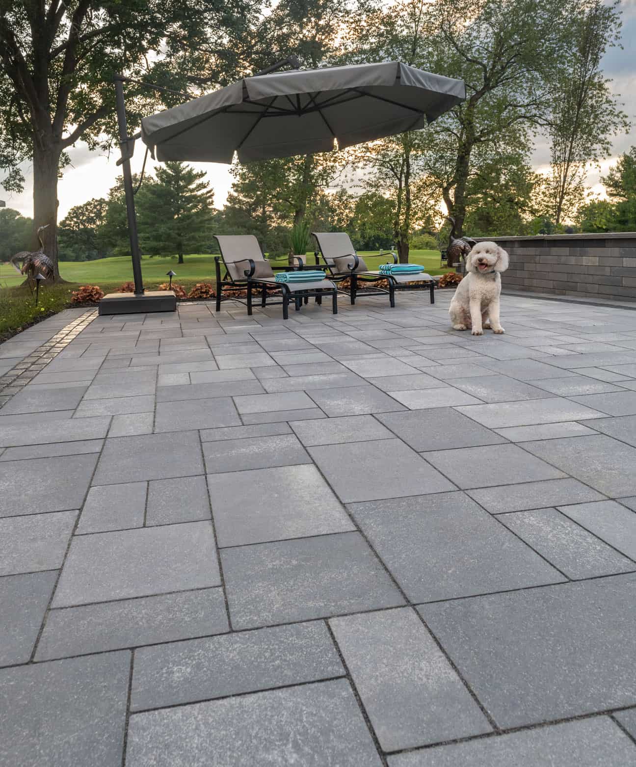 Dog sitting on Unilock Paver Patio with Boarders and Retaining Wall