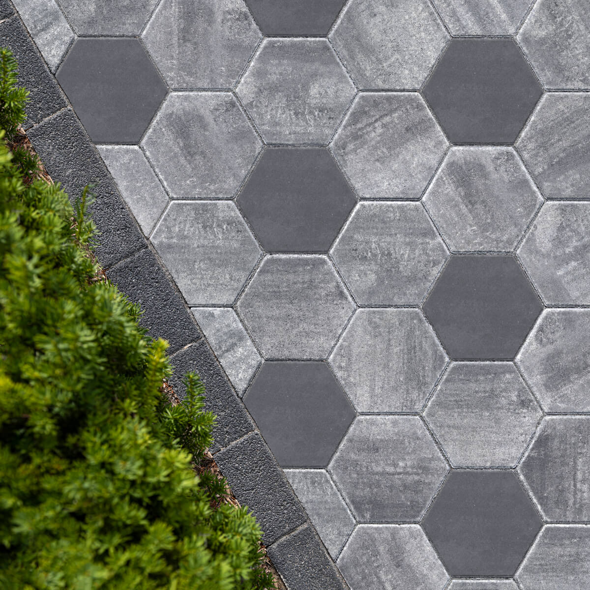 An image of a grey hexagonal paver with a tree in the background.